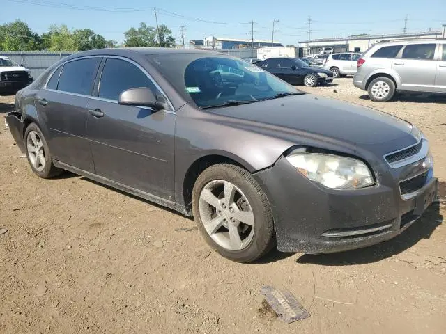 2010 CHEVROLET MALIBU 1LT  