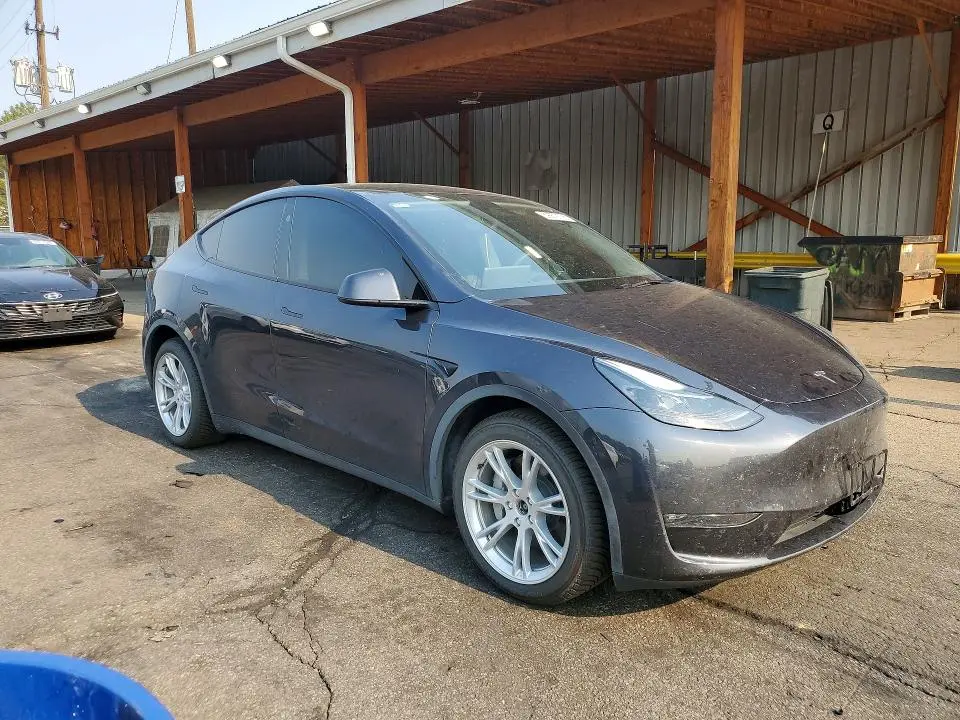 2024 TESLA MODEL Y   