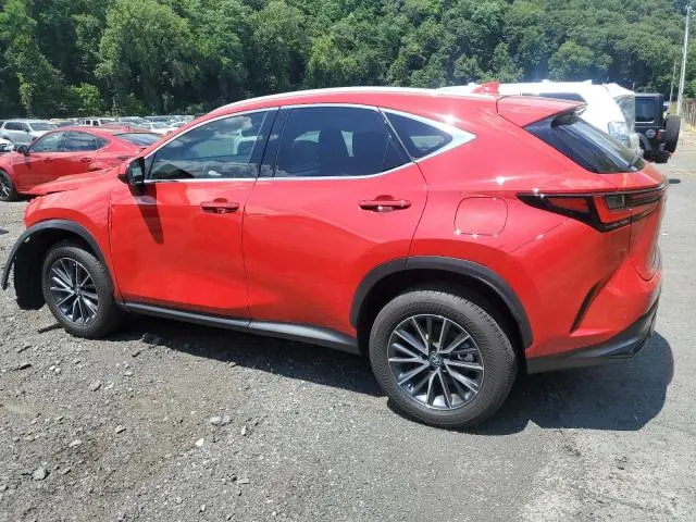 2022 LEXUS NX 350  