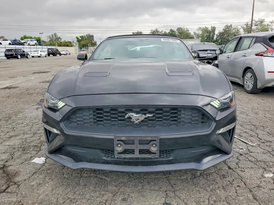 2019 FORD MUSTANG   