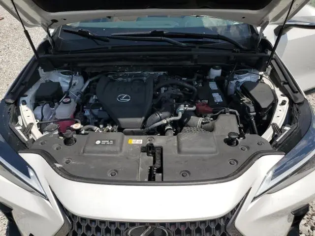 2024 LEXUS NX 350 BASE  