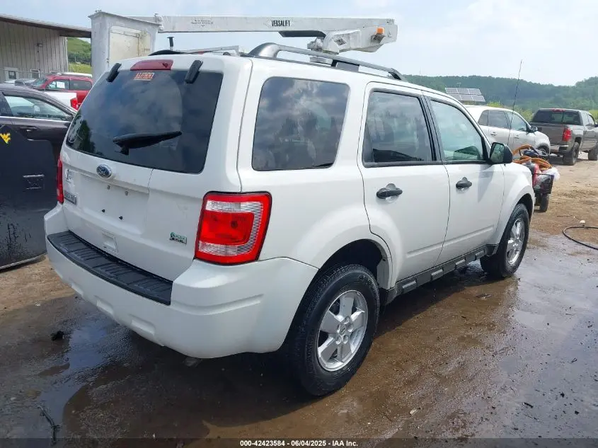 2010 FORD ESCAPE XLT