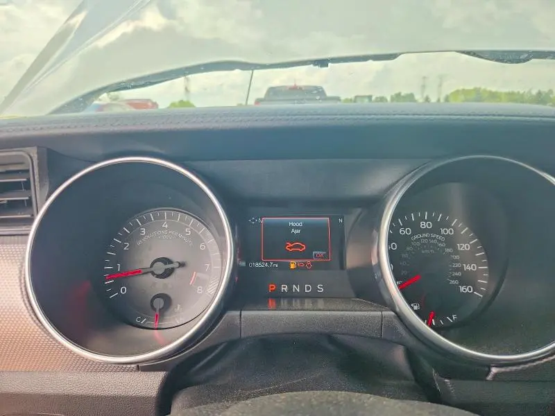 2019 FORD MUSTANG GT  