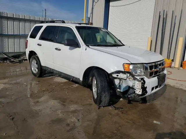 2010 FORD ESCAPE XLT