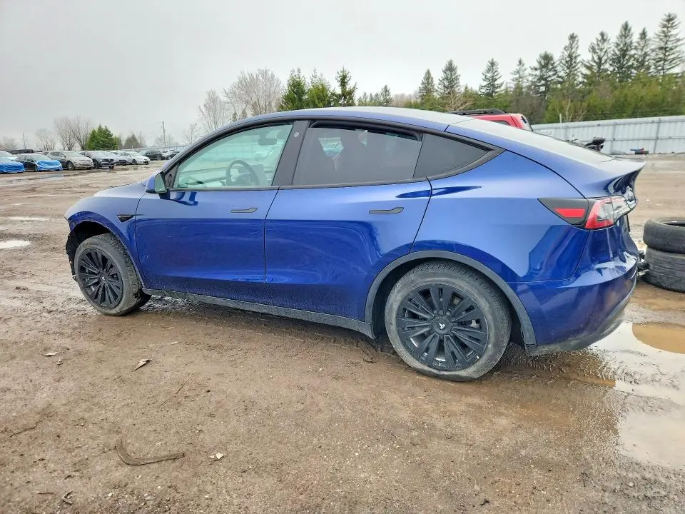 2022 TESLA MODEL Y   