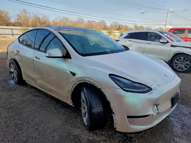 2020 TESLA MODEL Y   