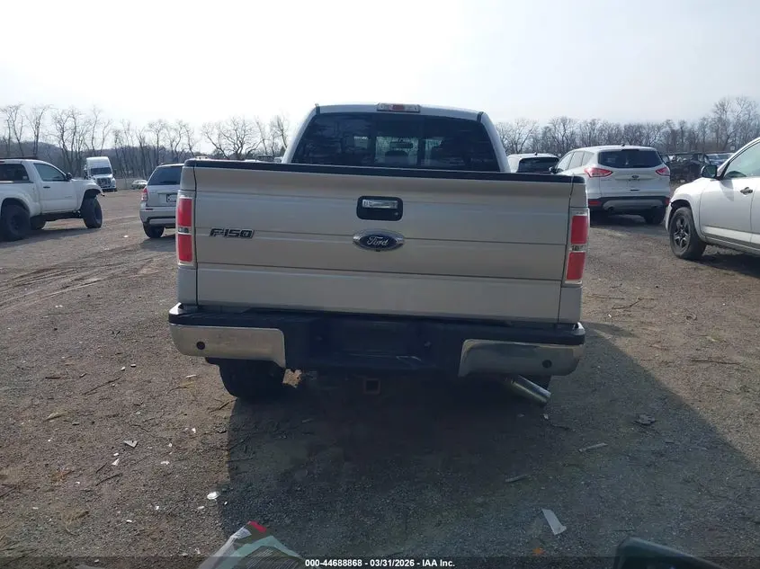 2014 FORD F-150 XLT