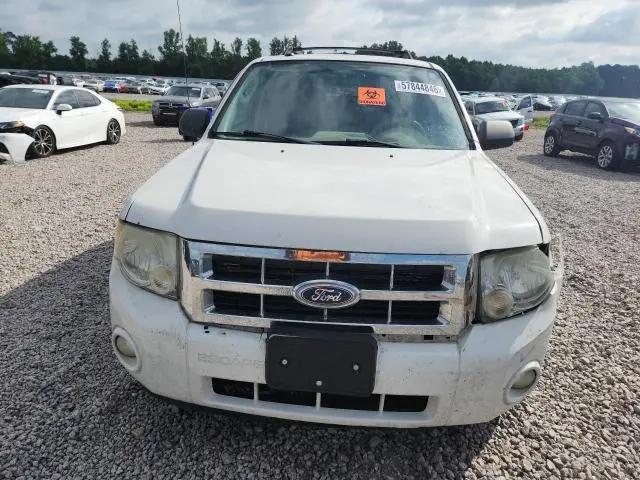 2010 FORD ESCAPE XLT  