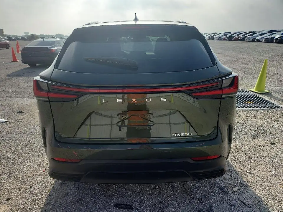 2025 LEXUS NX 250 BASE  