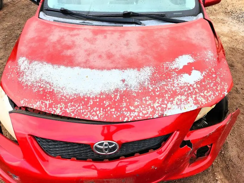 2010 TOYOTA COROLLA LE  
