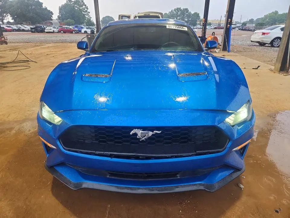 2019 FORD MUSTANG   