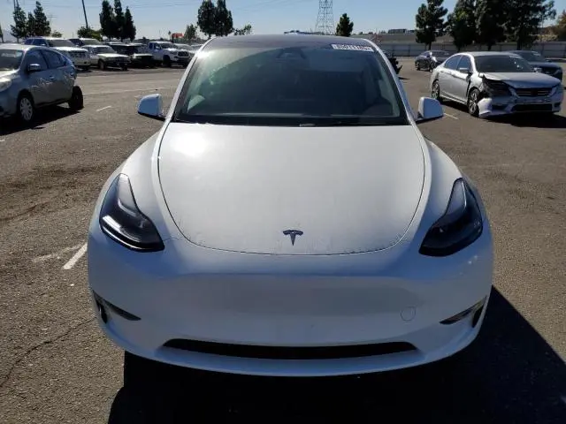 2025 TESLA MODEL Y   