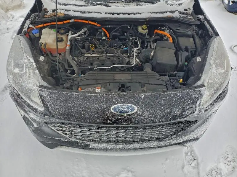 2020 FORD ESCAPE SE SPORT  