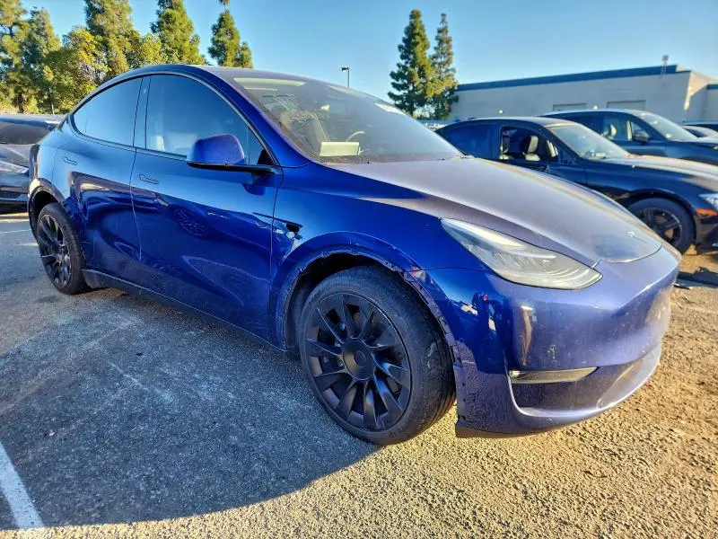 2021 TESLA MODEL Y   