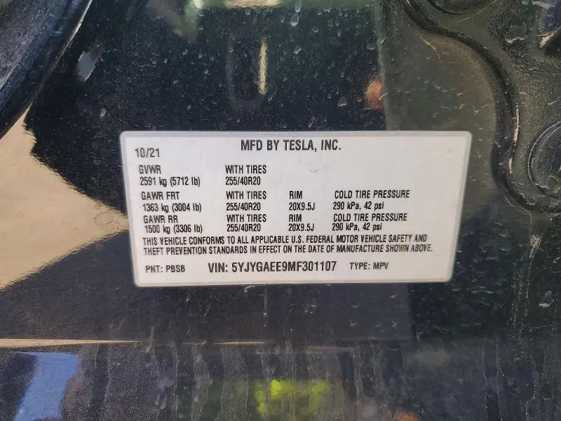 2021 TESLA MODEL Y   