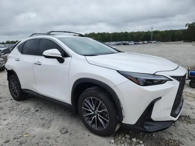 2025 LEXUS NX 250 BASE  