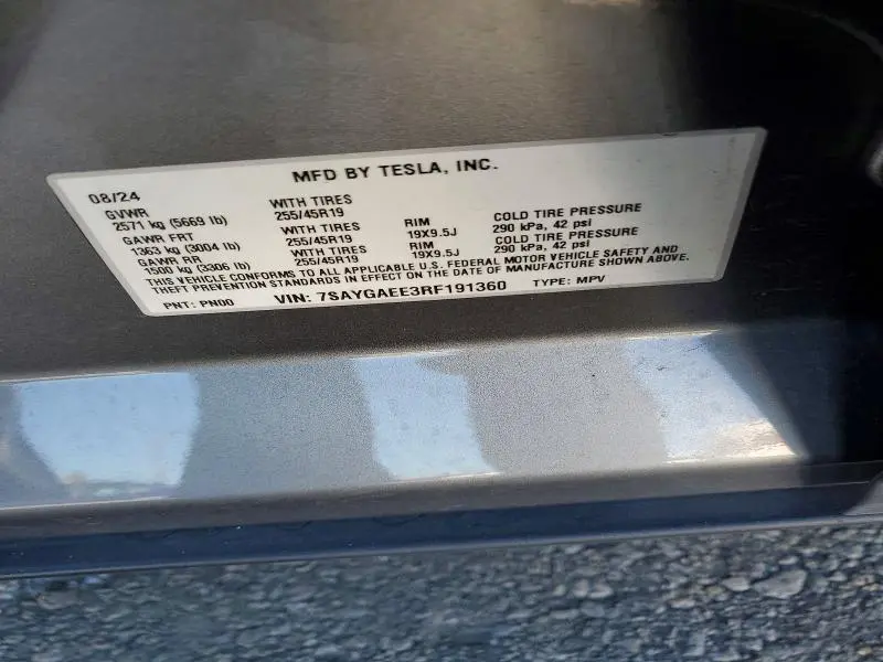 2024 TESLA MODEL Y   