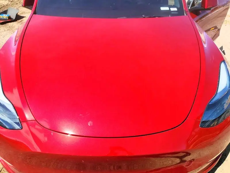 2025 TESLA MODEL Y   