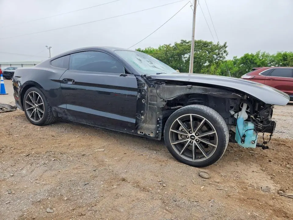 2019 FORD MUSTANG   