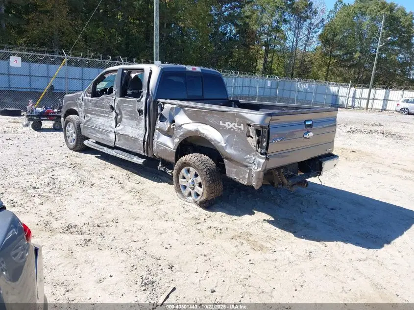 2014 FORD F-150 XLT