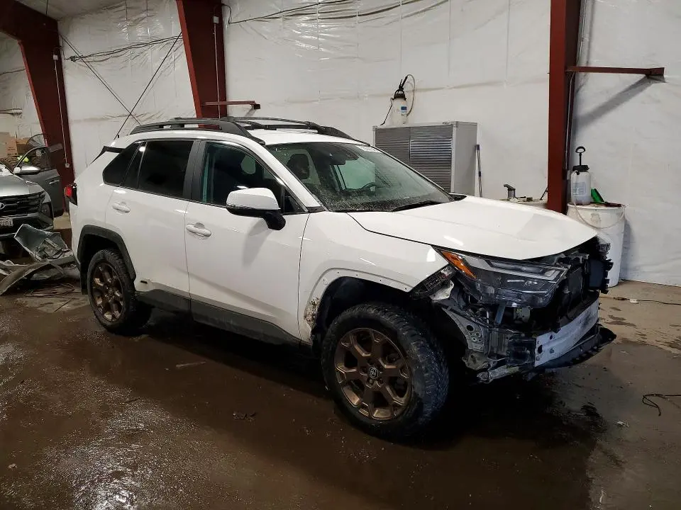 2023 TOYOTA RAV4 WOODLAND EDITION  