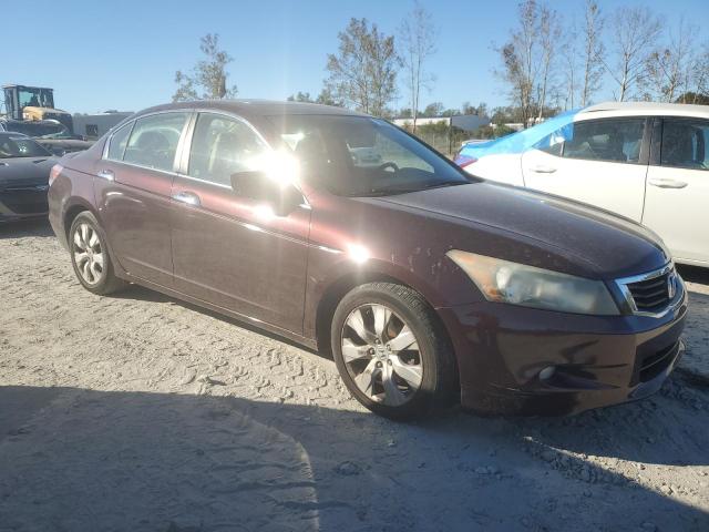 2010 HONDA ACCORD EXL