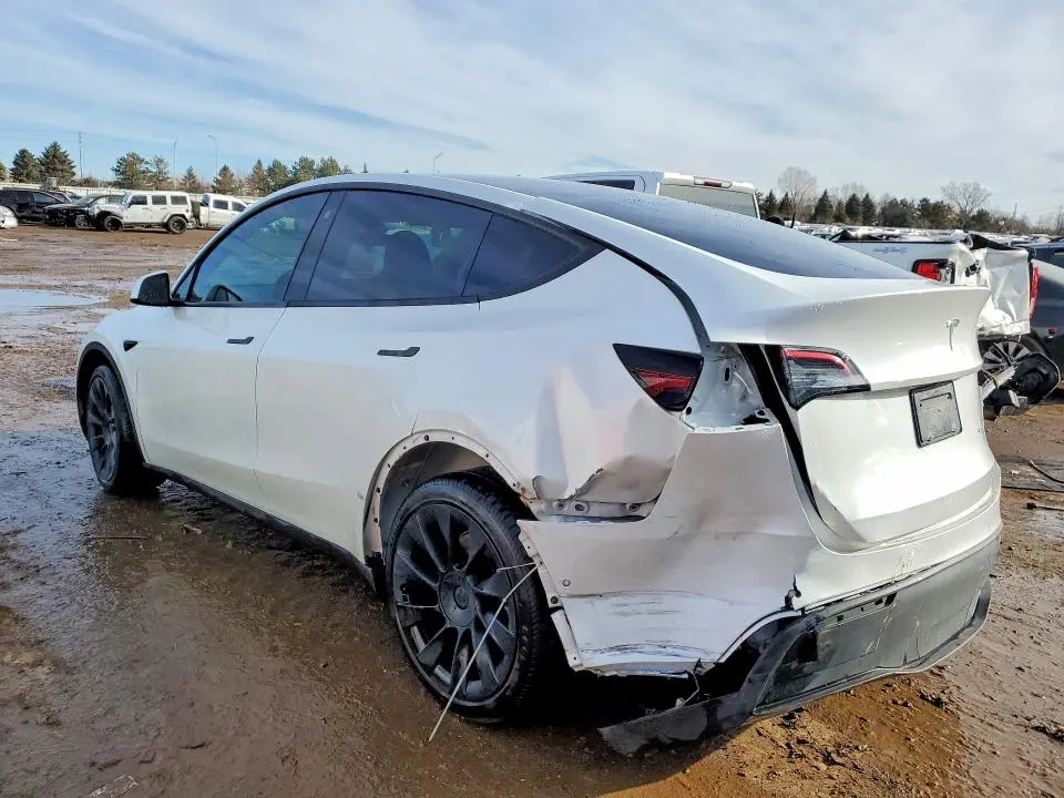 2022 TESLA MODEL Y   