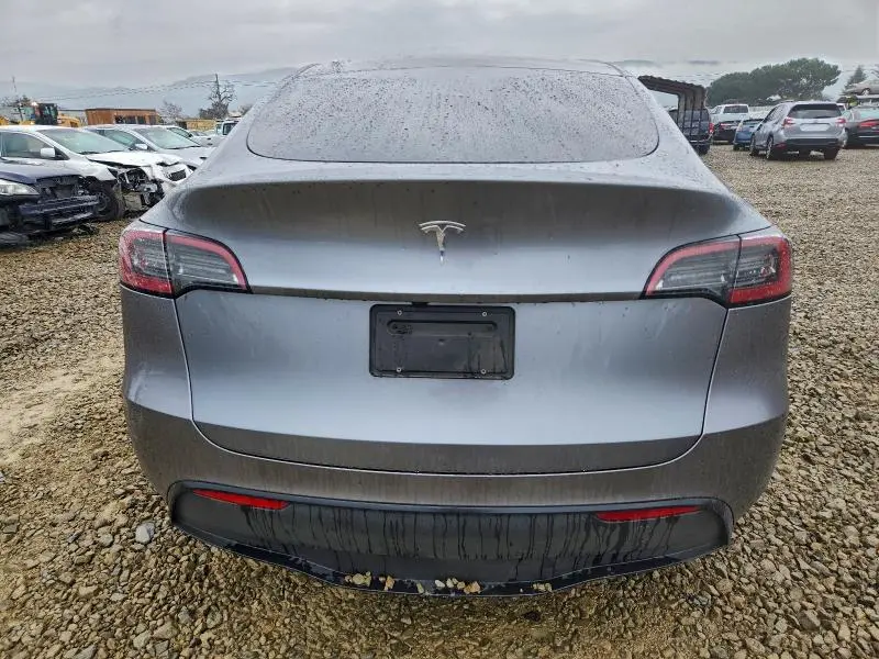 2025 TESLA MODEL Y   
