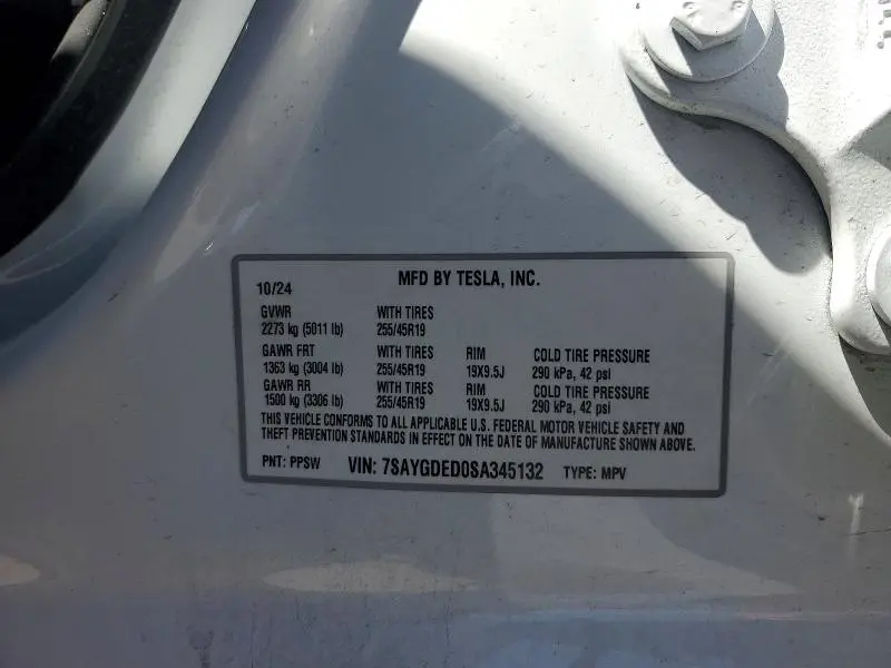 2025 TESLA MODEL Y   