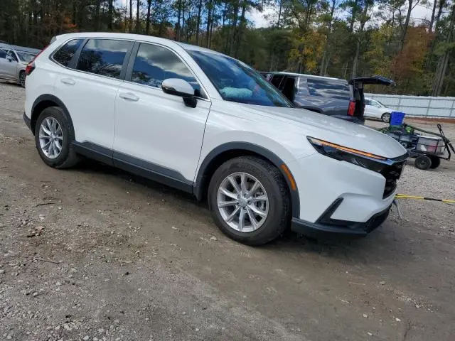 2024 HONDA CR-V EXL  