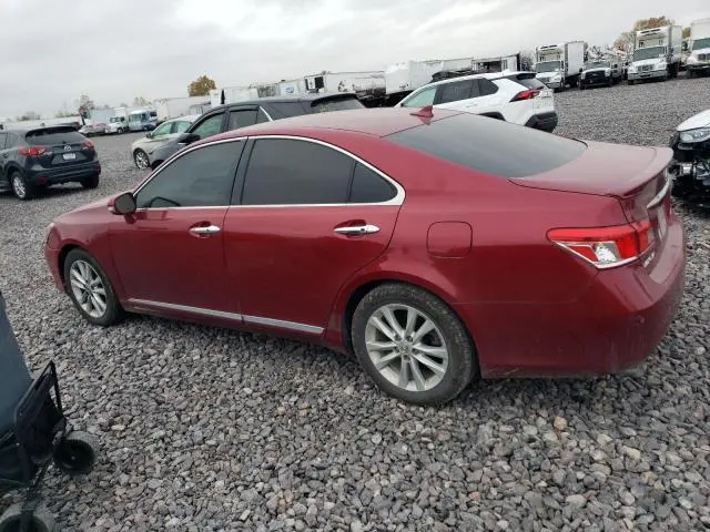2010 LEXUS ES 350  