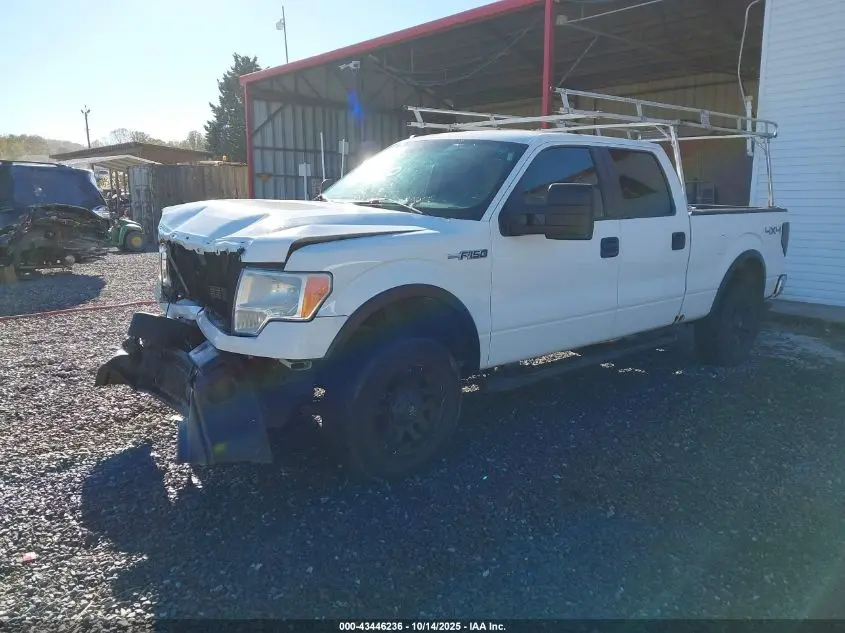 2014 FORD F-150 XLT