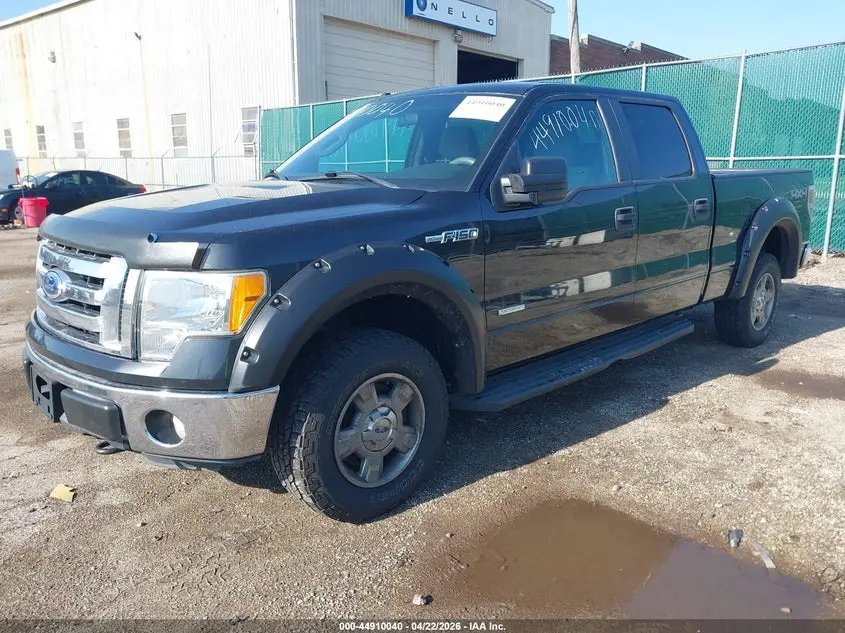2011 FORD F-150 XLT