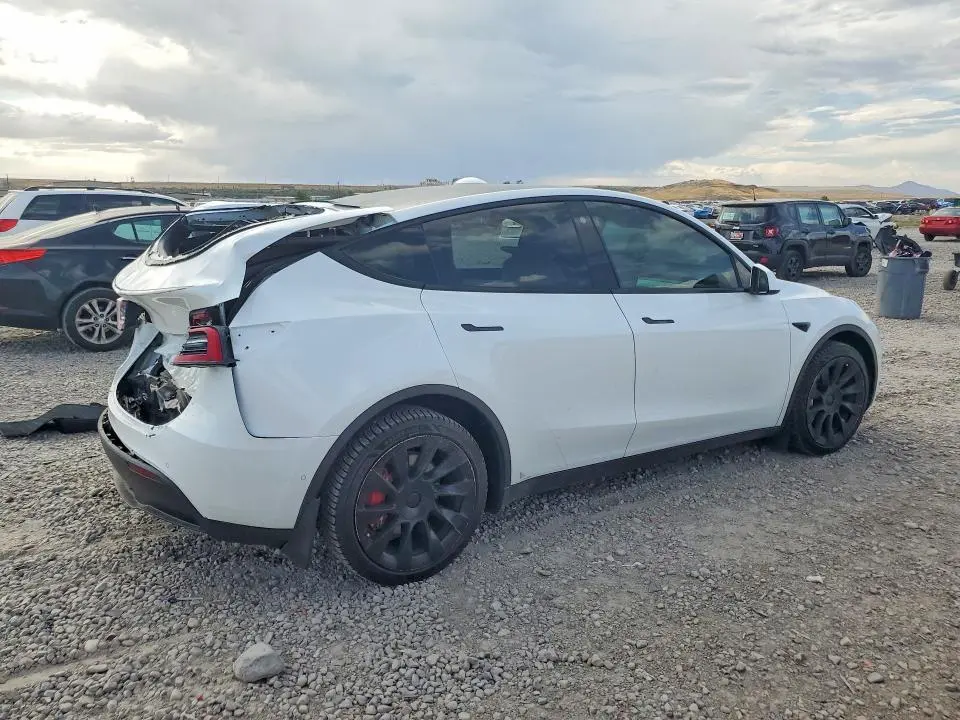 2021 TESLA MODEL Y   