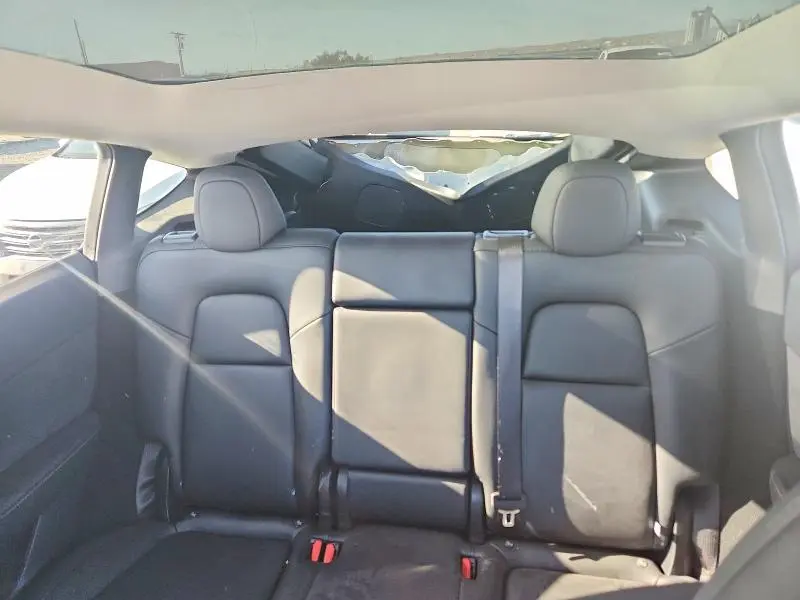 2025 TESLA MODEL Y   