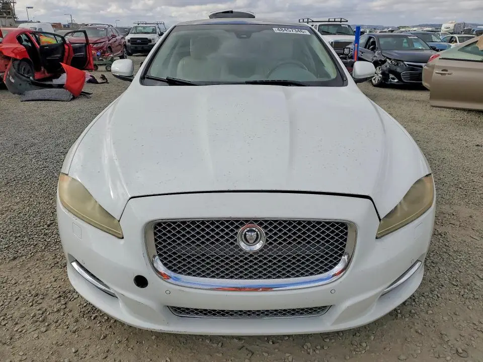 2013 JAGUAR XJ   