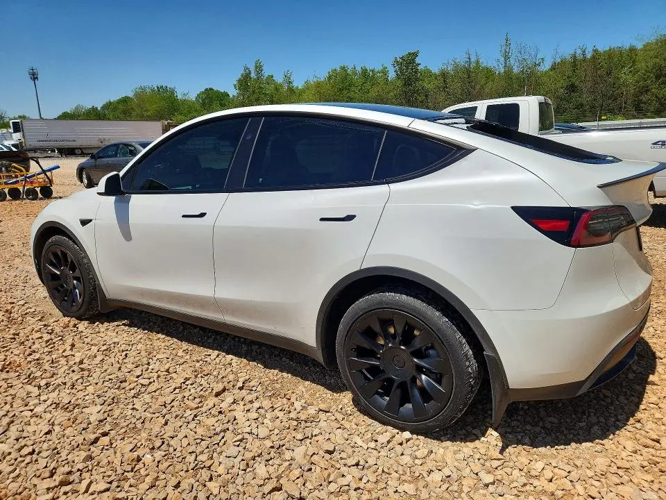 2024 TESLA MODEL Y   