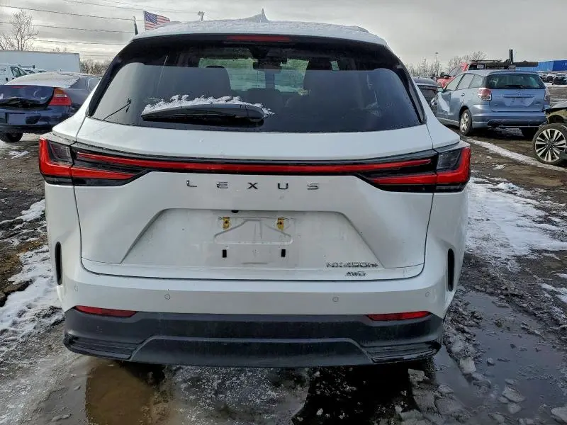 2025 LEXUS NX 450H LUXURY  