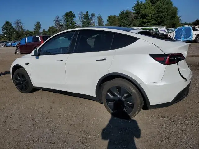 2025 TESLA MODEL Y