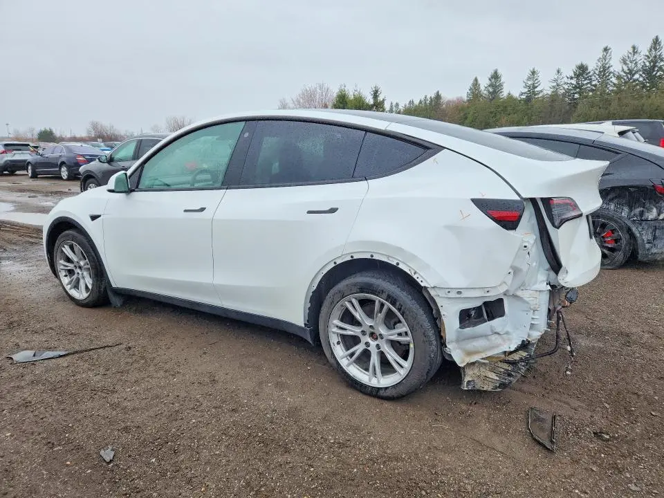 2022 TESLA MODEL Y   