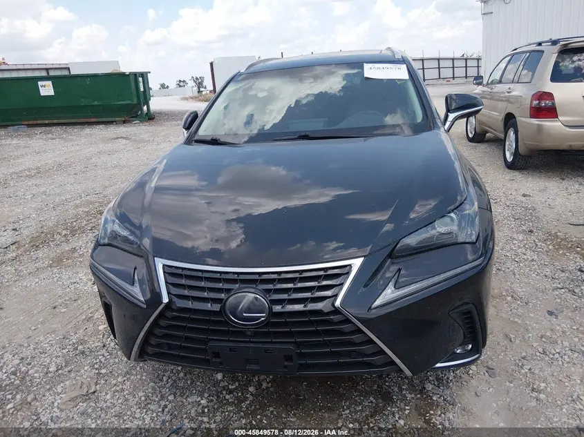 2019 LEXUS NX 300H  