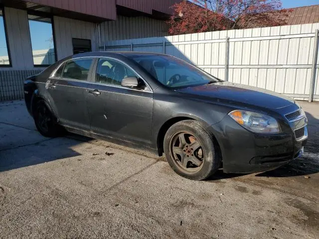 2010 CHEVROLET MALIBU LS  