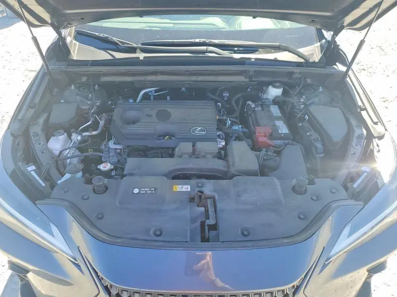 2025 LEXUS NX 250 BASE  