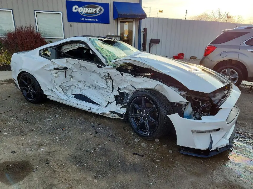 2019 FORD MUSTANG   