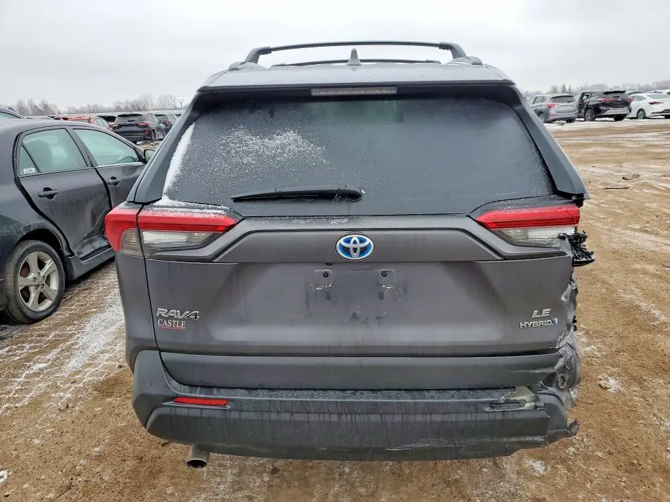 2019 TOYOTA RAV4 LE  
