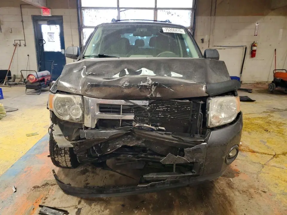 2011 FORD ESCAPE XLT  