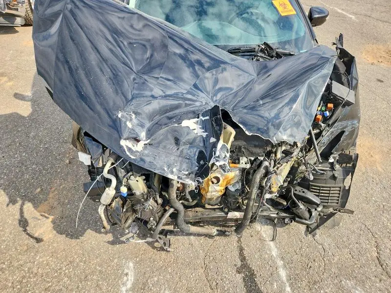 2019 NISSAN MAXIMA S  