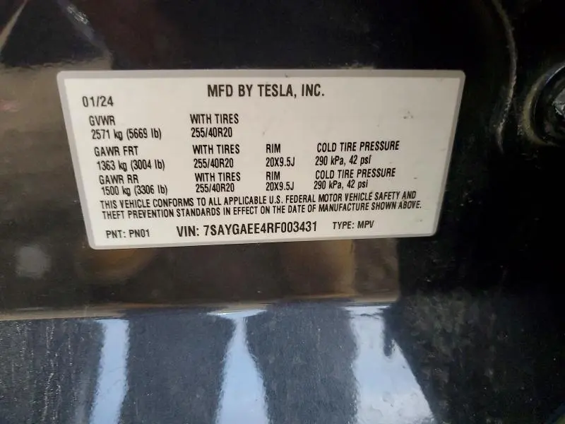 2024 TESLA MODEL Y   