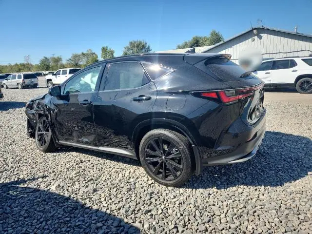 2025 LEXUS NX 350 LUXURY  