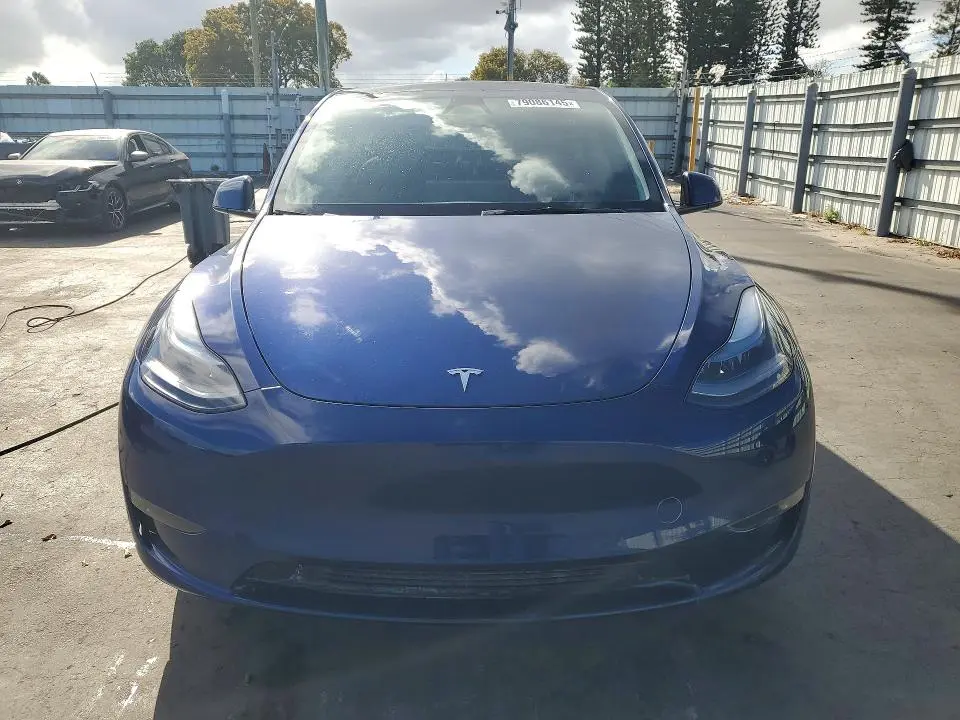 2025 TESLA MODEL Y   